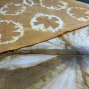 Taller de Tintes Naturales y Shibori